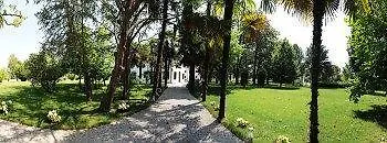 Contarini Nenzi And Dosson